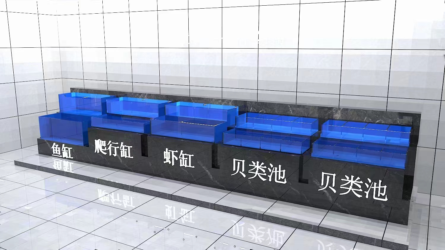 阿鱼缸夫商用鱼池——现场安装实景带品类标签